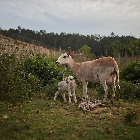 Lägenhet Charming In Our