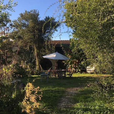 Charming In Our Lägenhet Fornelo