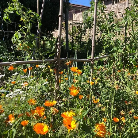 Charming In Our Fornelo