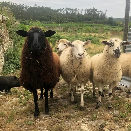 Charming In Our Apartment Fornelo