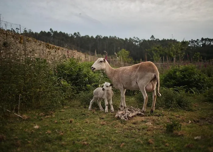 Lejlighed Charming In Our