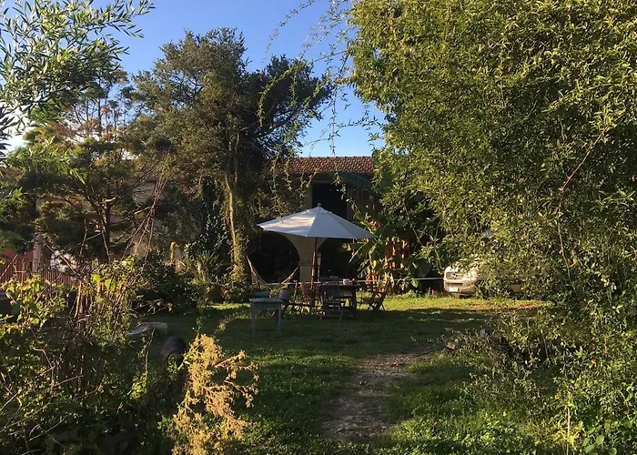 Charming In Our Lejlighed Fornelo