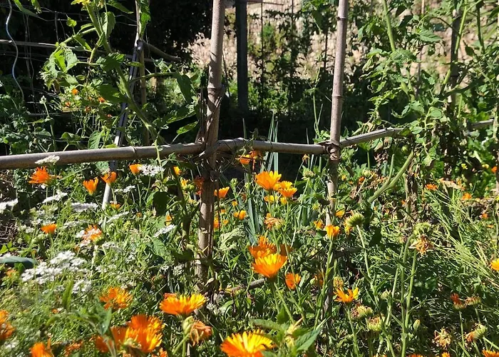 Charming In Our Fornelo